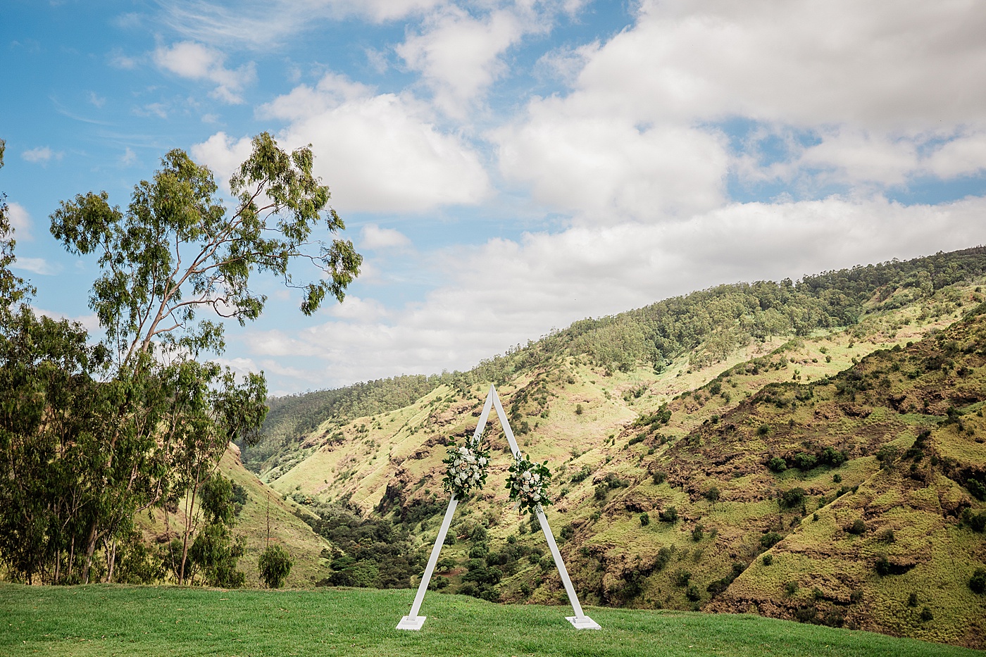 Waialua Valley Farms ceremony arch